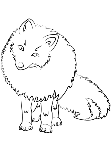 Cute Arctic Fox Coloring Page